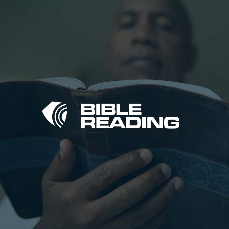 Bible Reading